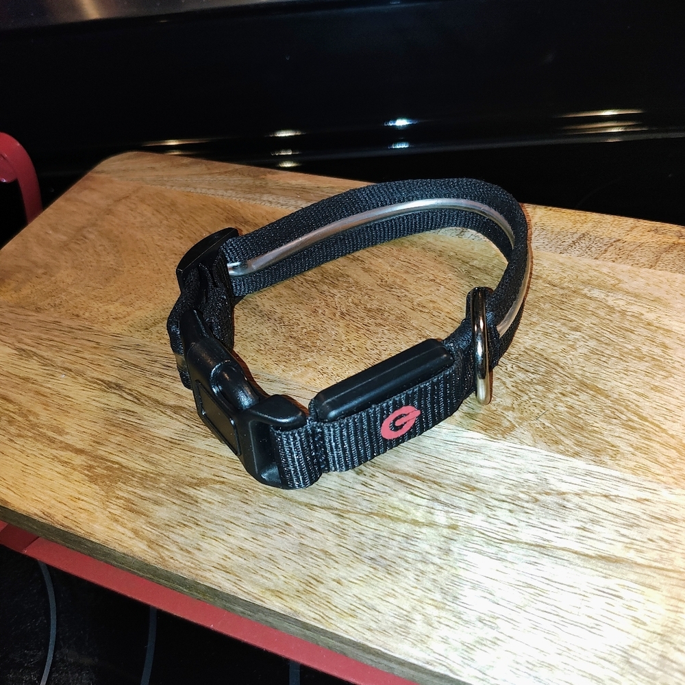 Safety Dog Collar